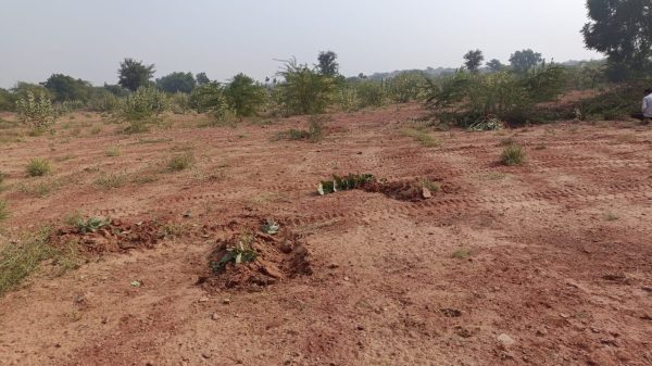 14_bigha_land_for_sale